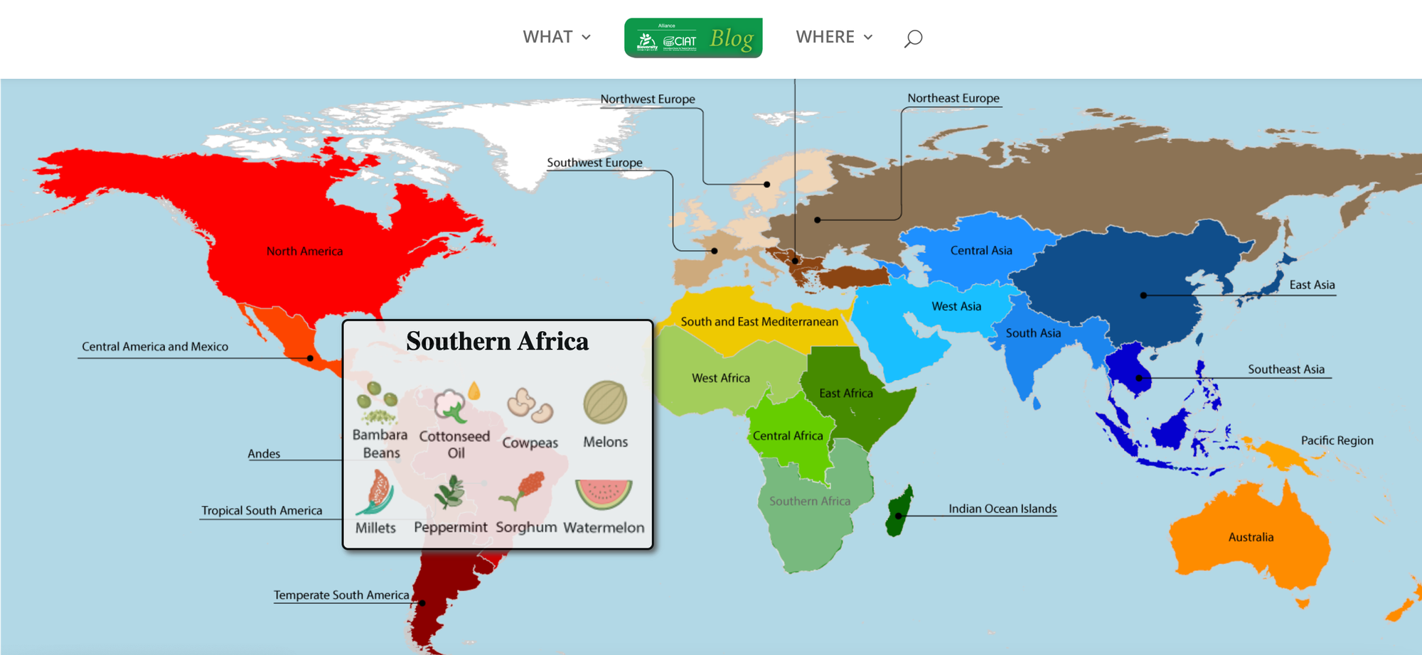 10 Creative Ways Businesses Use Interactive Maps