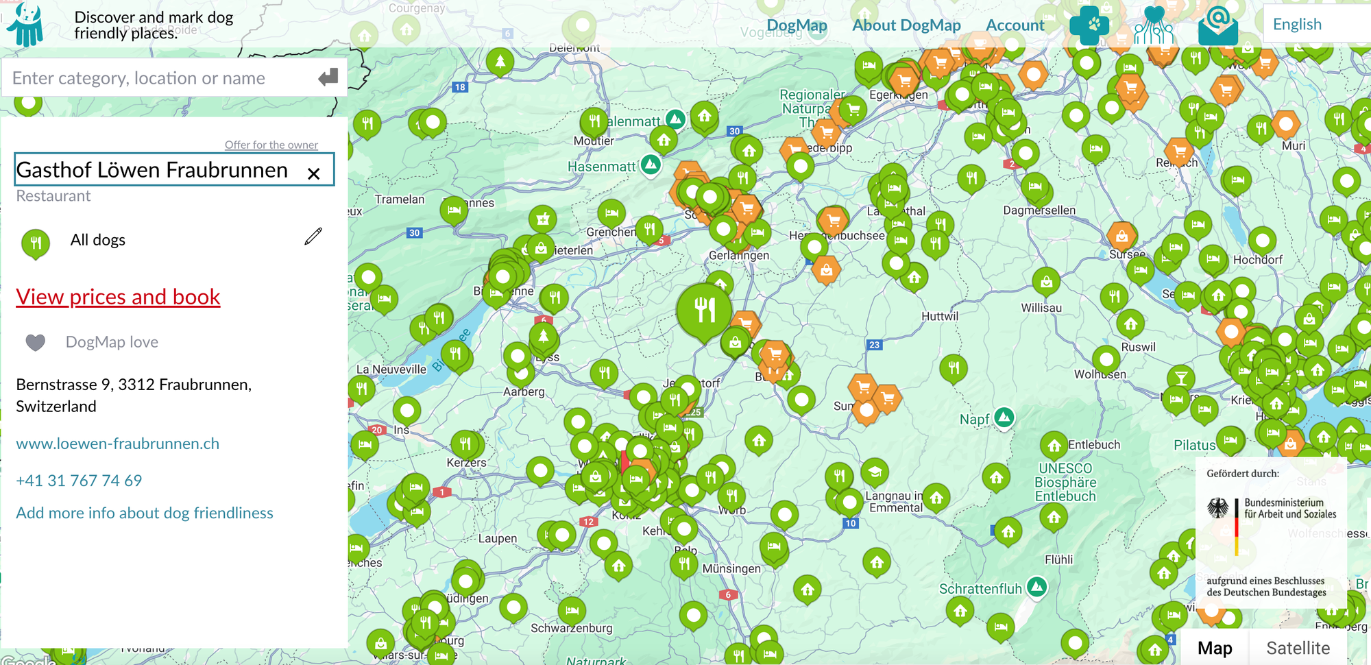 10 Creative Ways Businesses Use Interactive Maps